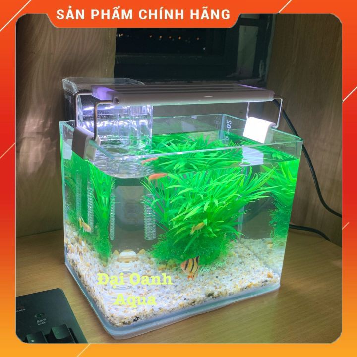 { RẺ VÔ ĐỐI } Bể Cá mini Thủy Sinh Để Bàn Đầy Đủ 5 món tặng thức ăn - Bể Cá Cảnh Mini