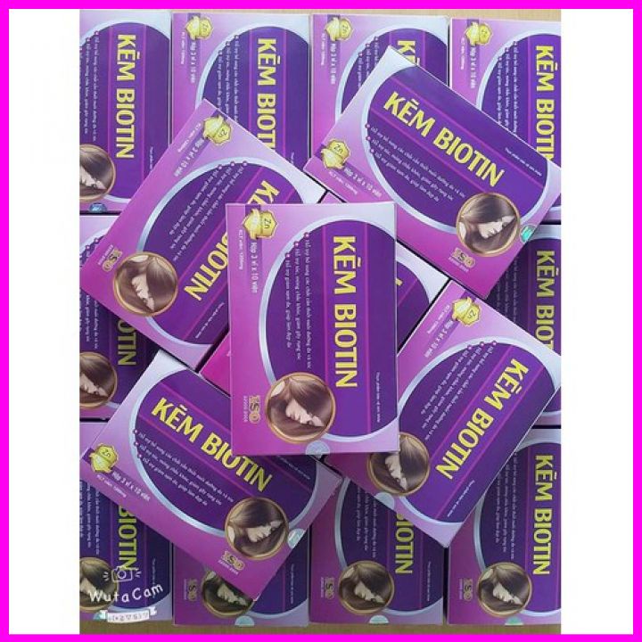 Kẽm Biotin viên uống mọc tóc giảm gãy rụng bổ xung dưỡng chất giúp tóc chắc khỏe kích thích mọc tóc nhanh