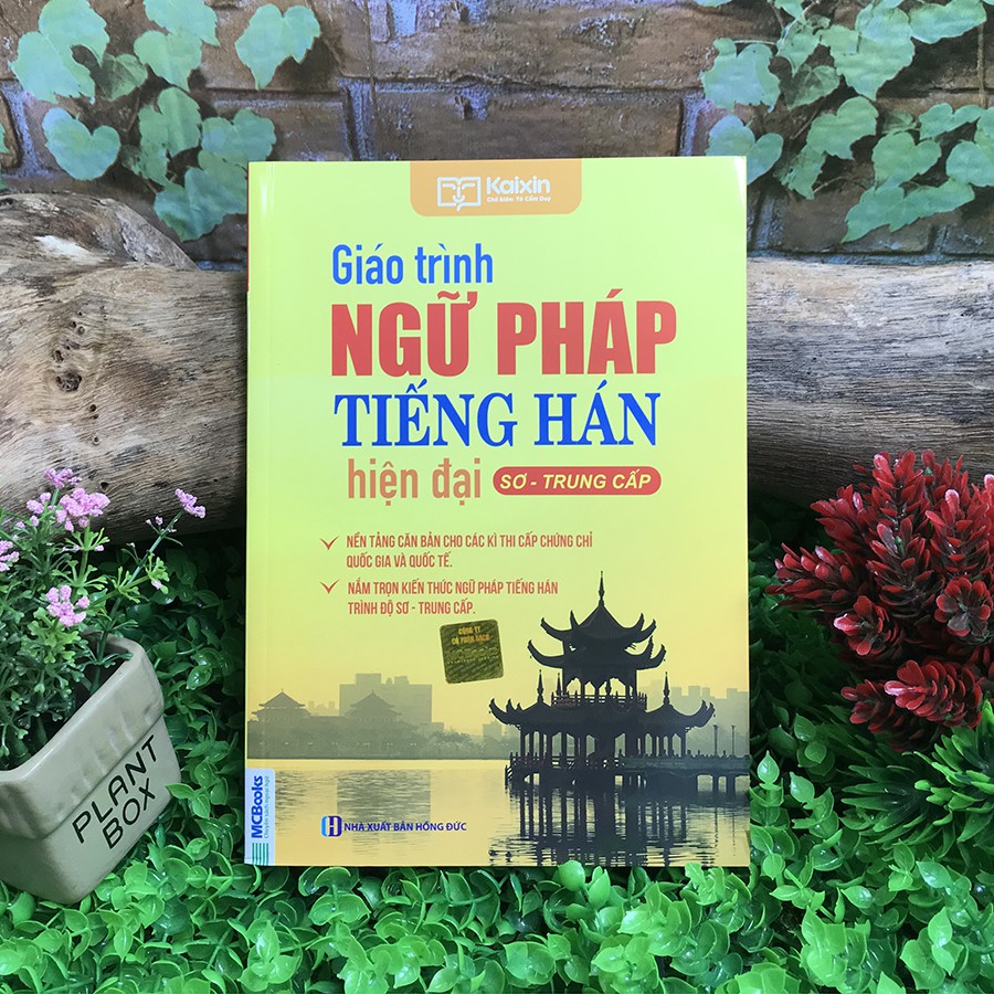 Sách - Giáo Trình Ngữ Pháp Tiếng Hán Hiện Đại Sơ - Trung Cấp (Tái Bản)