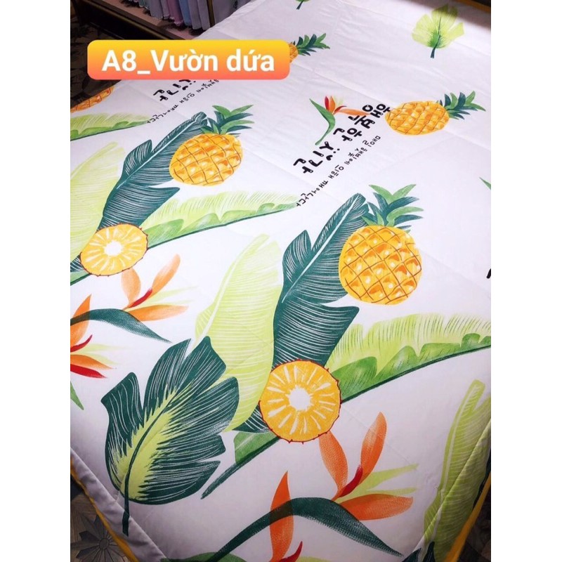 Chăn hè đũi zaza home hàng loại 1