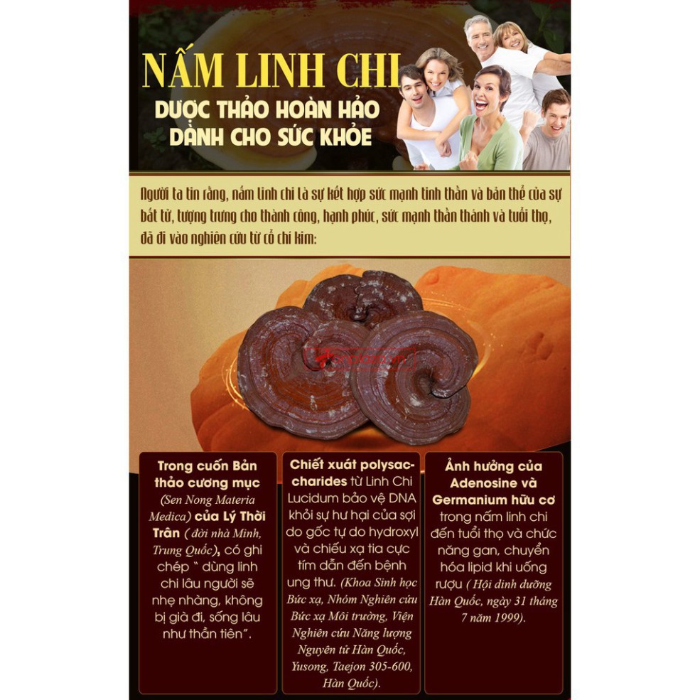 Nấm Linh Chi Túi Đỏ Hàn Quốc, Túi 1kg