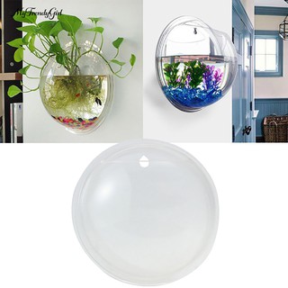 Chậu Hoa Thủy Tinh Gắn Tường Sáng Tạo