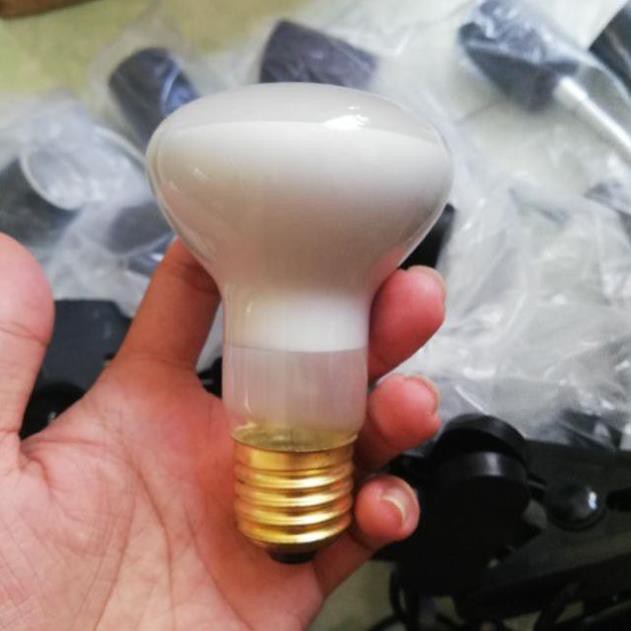 Đèn sưởi ngày cho bò sát UVA