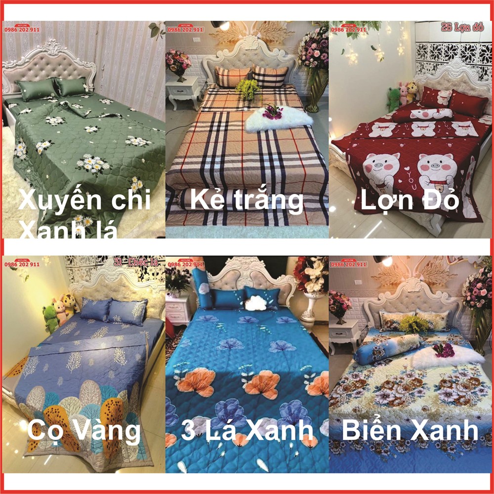 Bộ Chăn Ga 5 Món Siêu Đẹp, Tổng Hợp Các Mẫu Chăn Ga Mới Nhất Với Chất Liệu Cotton Poly Phù Hợp Thời Tiết Hè Thu