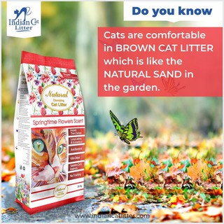 Cát Buddy Ấn 7,5KG