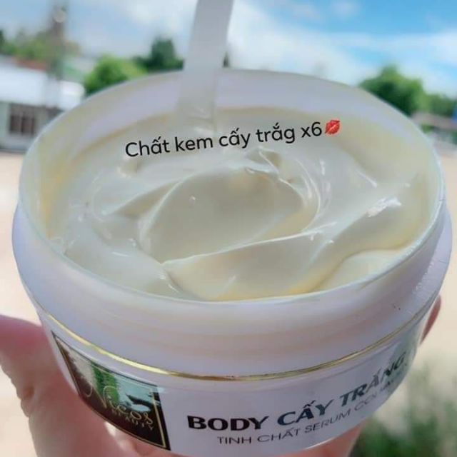 Sỉ ba hộp body cấy trắng x6