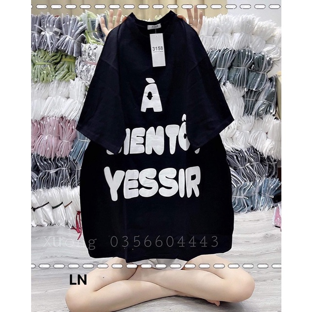 Áo phông YESIR LN12