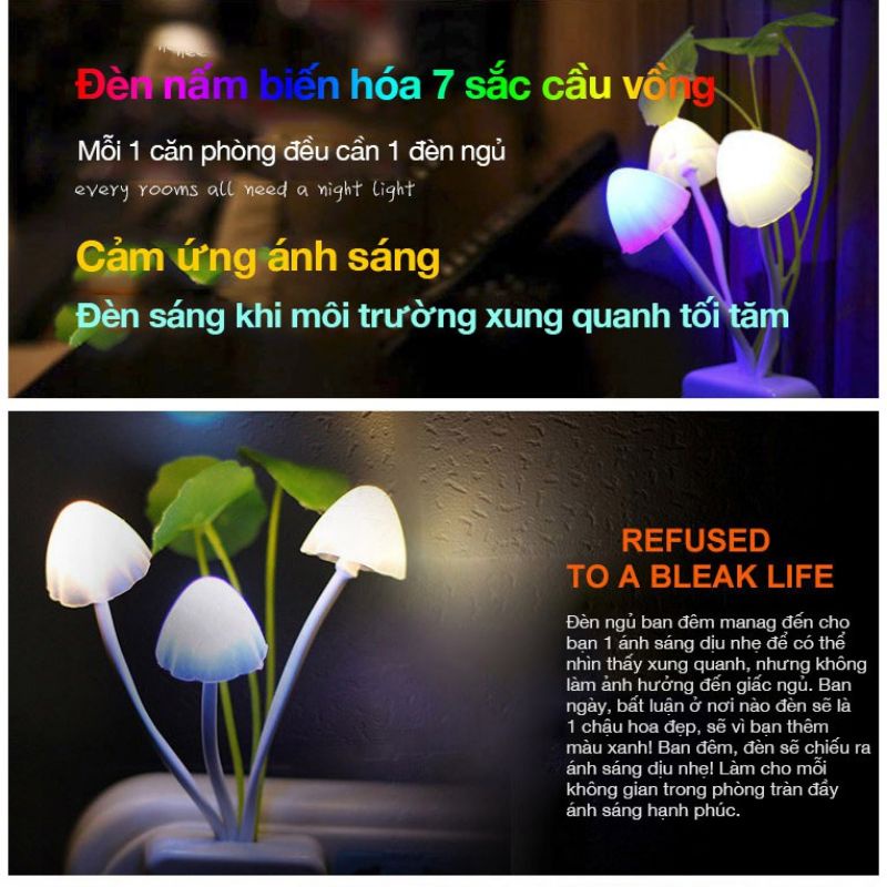 Đèn Ngủ Nấm Cảm Ứng Ánh Sáng Tự Động Tắt Mở