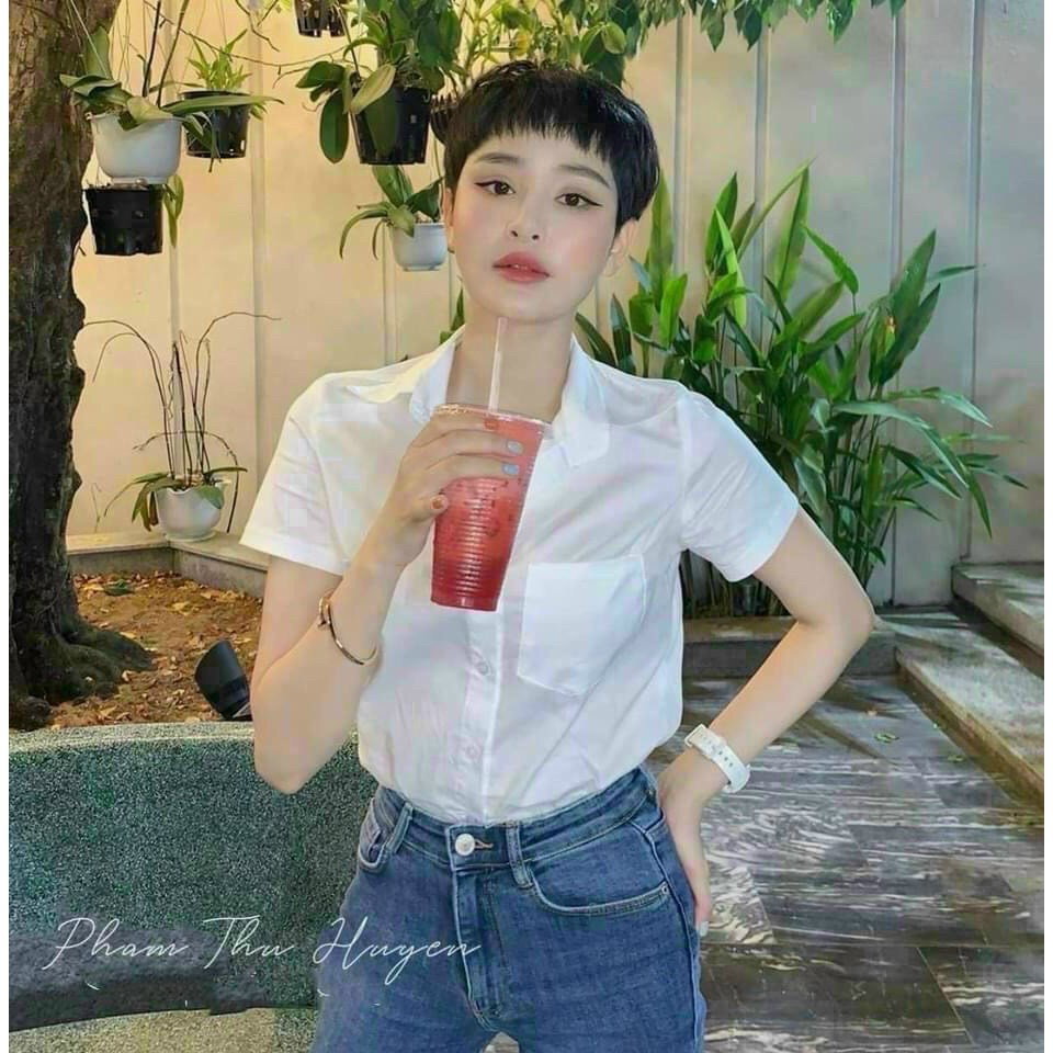Áo sơ mi trắng ngắn tay