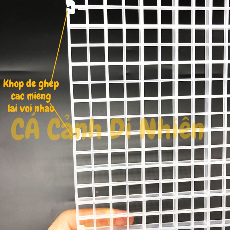 Tâm làm vách ngăn hoặc nắp đậy bể cá vách ngăn đậy hồ cá bằng nhựa Plastic size 30x30 cm