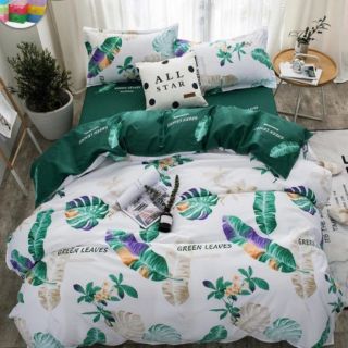 Combo bộ ga gối và ga chống thấm