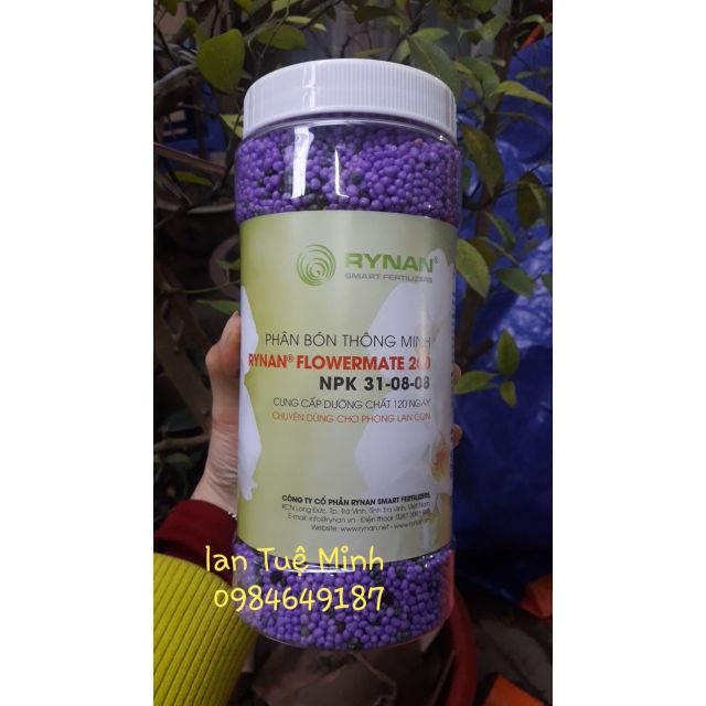 Lọ 1.36kg phân thông minh rynan 31.08.08 chuyên dành cho phong lan giai đoạn cây con