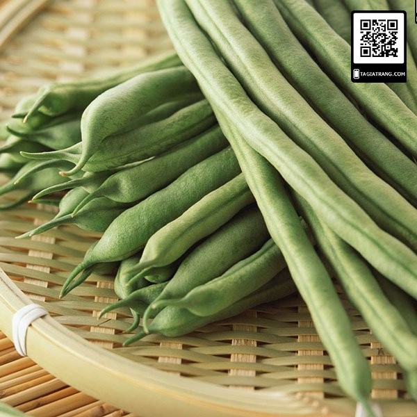 1KG Hạt giống đậu đũa (đỗ gièo - đậu dải áo, đậu bún) cao sản hạt đen