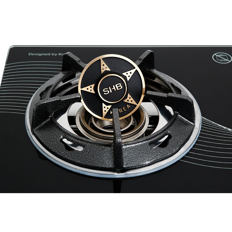 Bếp gas đôi Apex APB0816 Chính hãng trưng bày + tặng dây gas