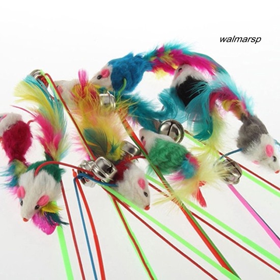 Gậy lò xo gắn lông vũ cho mèo