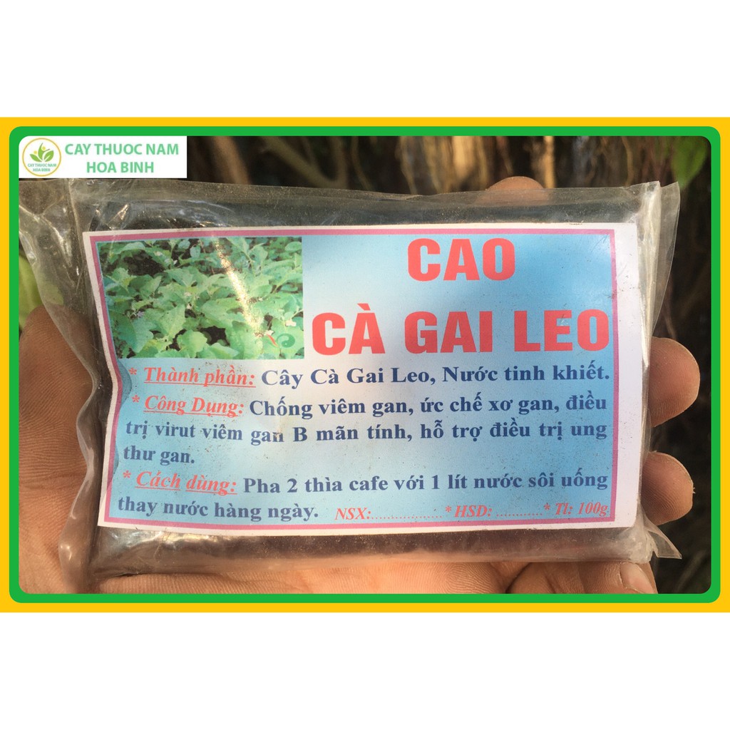 [NHÀ TỰ NẤU] nguyên miếng 100g cao cà gai leo nguyên chất GIẢI ĐỘC GAN, GIẢI RƯỢU GMP WHO