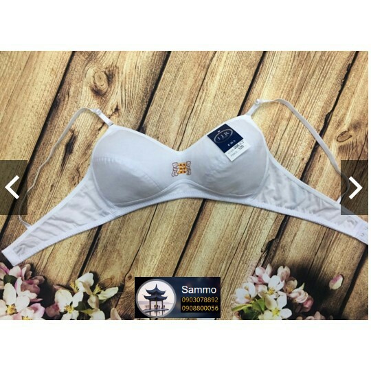 Áo Ngực Gấu Học Sinh Size 32,34,36