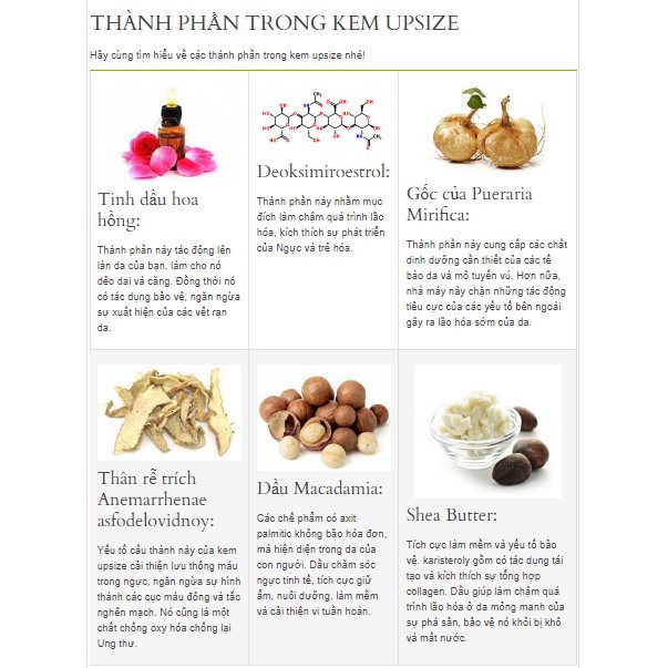 Kem nở ngực Upsize Nga - New 2019 - Tặng thước