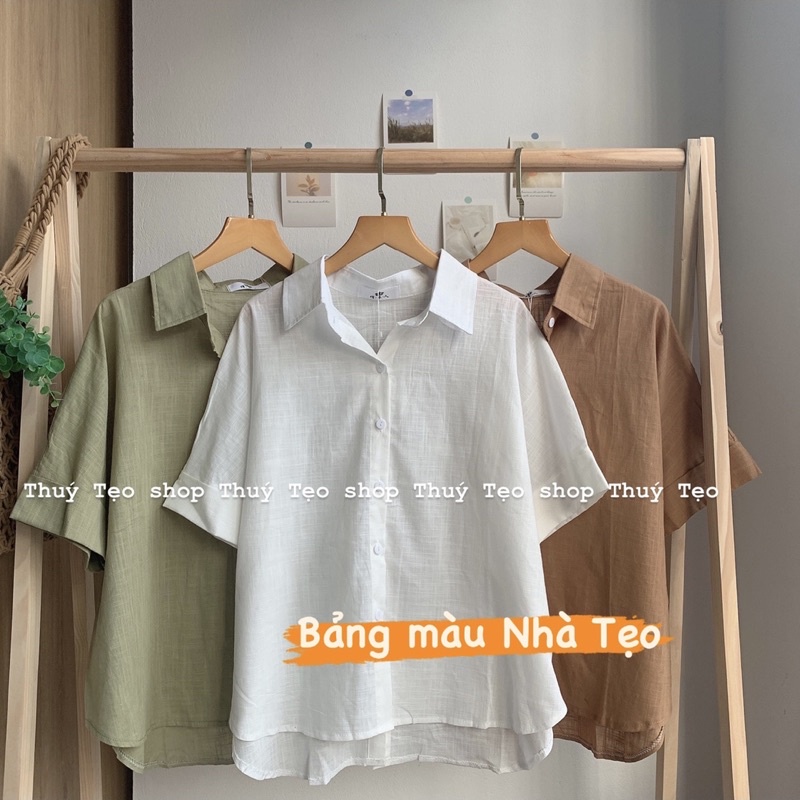 Áo sơ mi xước cộc tay cúc dọc sau lưng - Áo sơ mi nữ cộc tay basic xinh xắn
