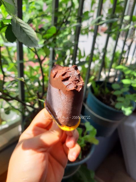 Cacao nguyên chất⚡ANOLYTE⚡Cacao Hạnh Phúc - Bột Cacao Nguyên Chất - Siêu Mịn - Gói 500gr | BigBuy360 - bigbuy360.vn