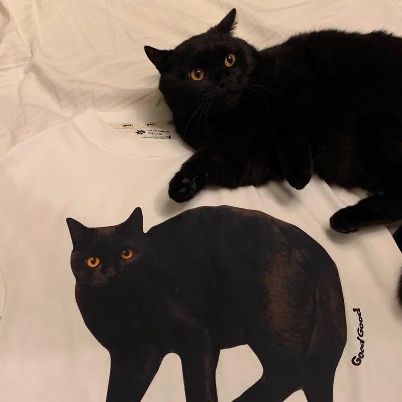 Áo phông unisex Black Cat phong cach Hàn Quốc màu trắng - A024