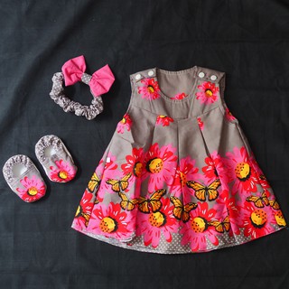 Set bướm xám