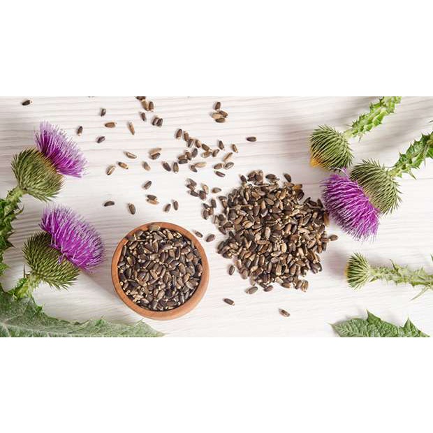 Viên uống Cao kế sữa bổ gan, thải độc gan Puritan's Pride Milk Thistle Extract 1000mg Silymarin 90v 180 viên của Mỹ