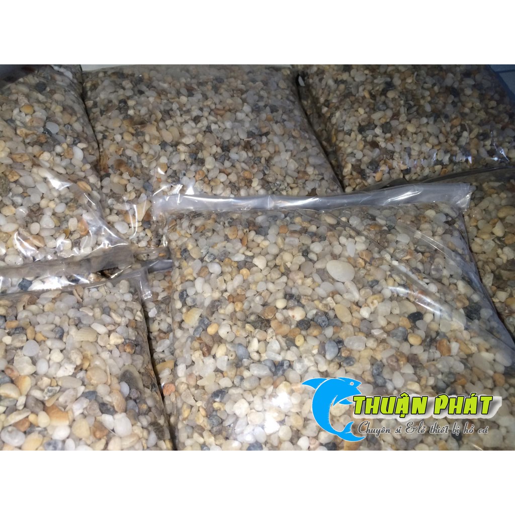 Sỏi, Đá Nhỏ Trang Trí Hồ Thủy Sinh