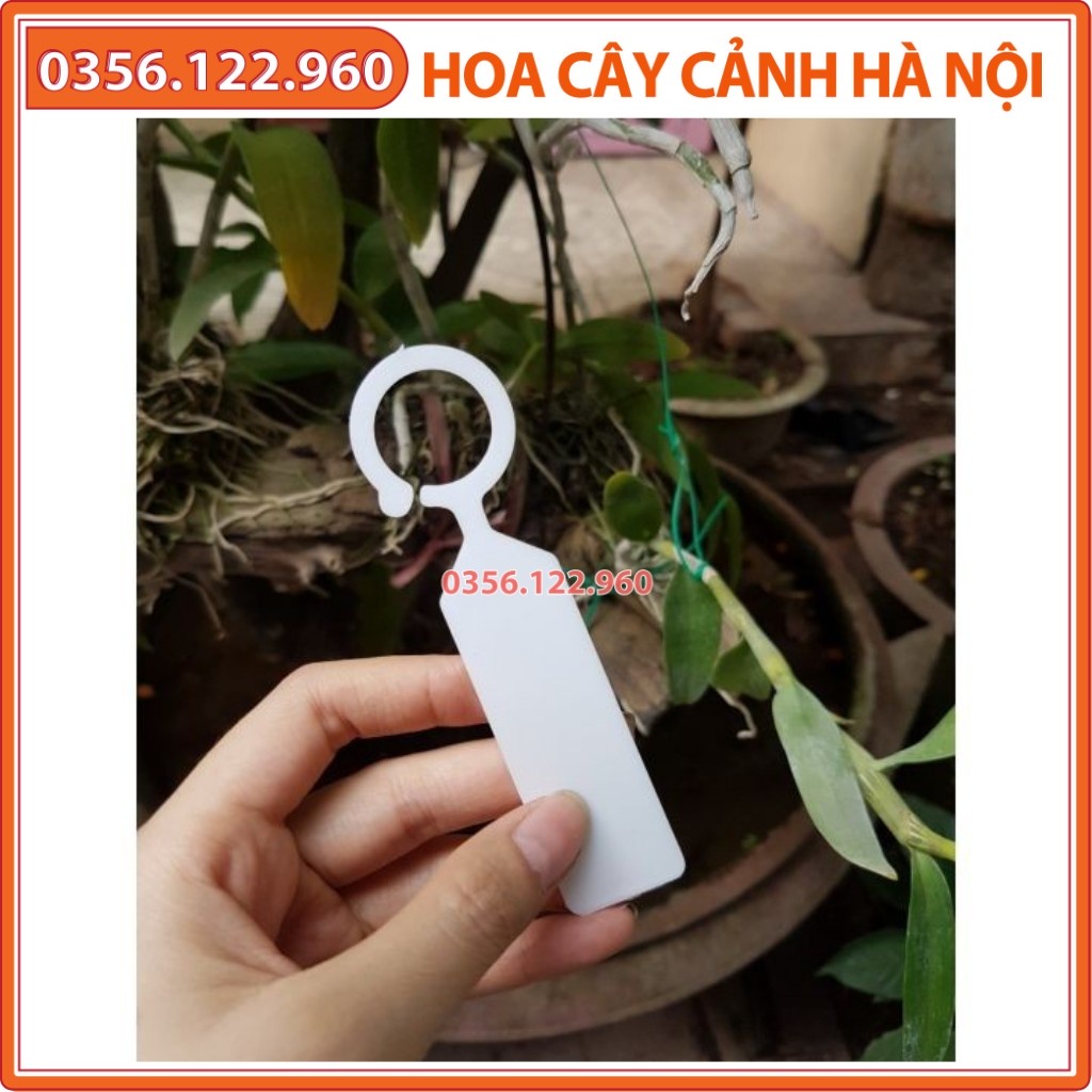 set 10 Thẻ Nhựa Ghi Tên, Đánh Dấu Có Quai Móc Dùng Cho Hoa Lan, Cây Cảnh, name tag - Shop hoa cây cảnh Hà Nội