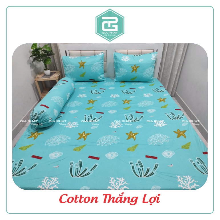 Bộ ga gối Thắng Lợi {4 món}100% Cotton chuẩn logo họa tiết Sò Biển