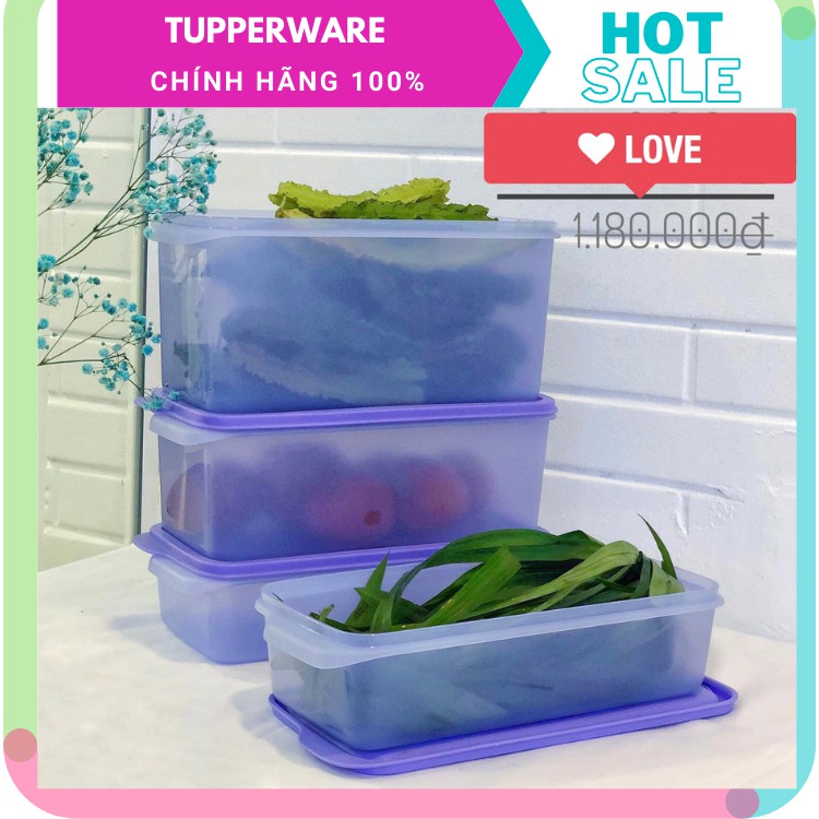 Tupperware- hộp trữ ngăn mát tím - freeship + quà tặng