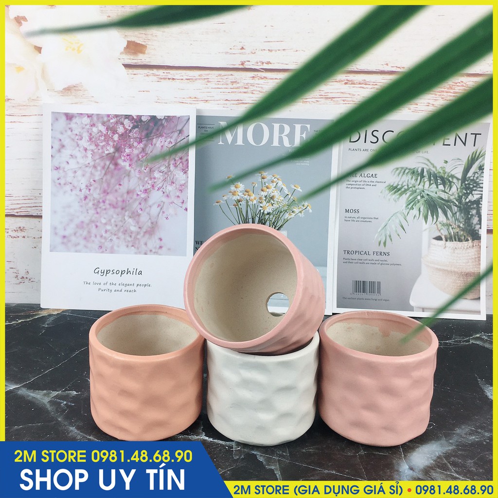 (CHỌN CHẬU) Chậu Sứ MINI Bát Tràng Trồng Cây Cảnh, Sen Đá, Xương Rồng Kiểu Kẻ Tăm Và Mắt Na