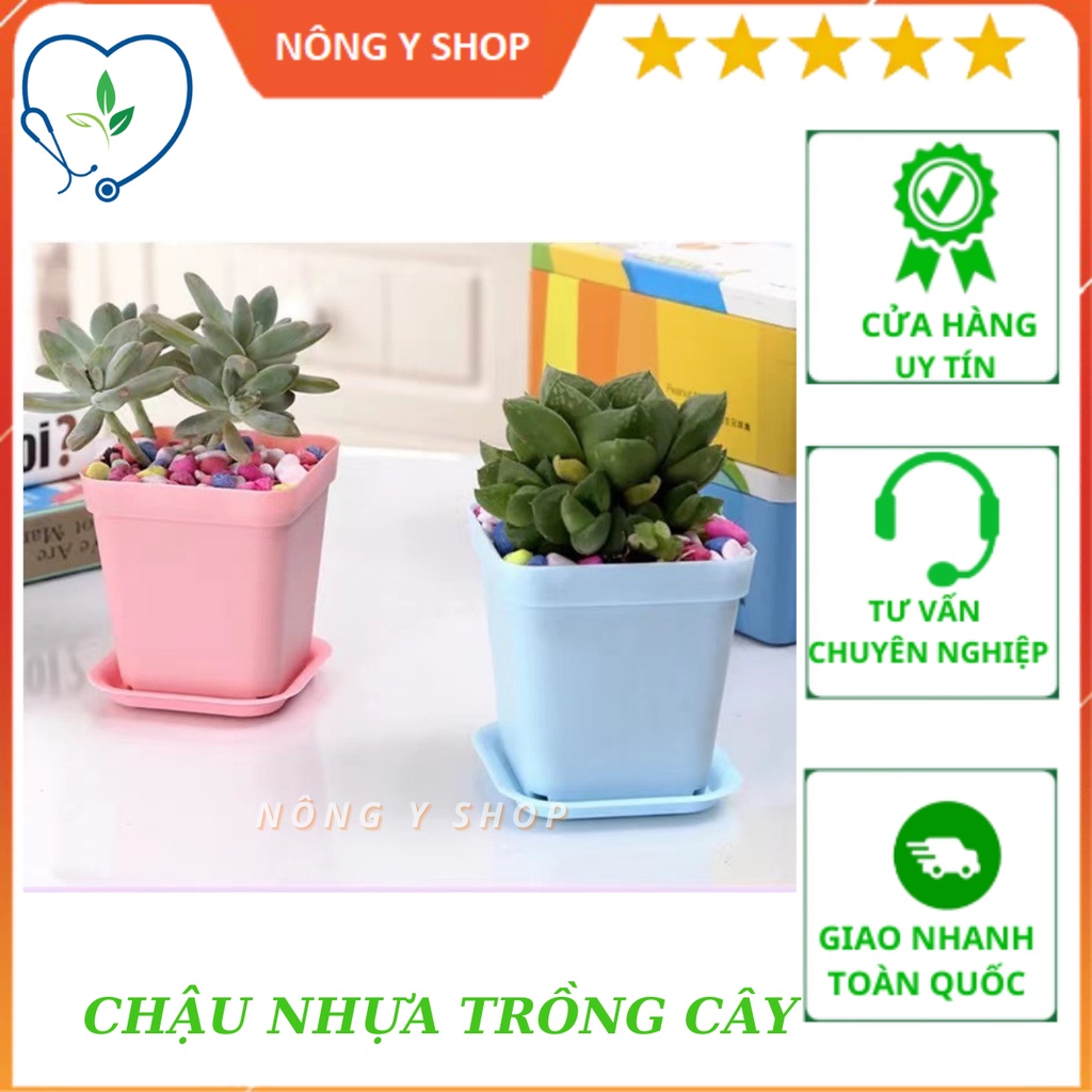 (Không Kèm Dĩa) Chậu Nhựa Trồng Cây Nhỏ Nhiều Màu Thích Hợp Trồng Sen Đá, Tai Thỏ, Xương Rồng Để Bàn Làm Việc