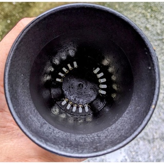 CHẬU NHỰA TRÒN MIỆNG SIZE 7,5cm
