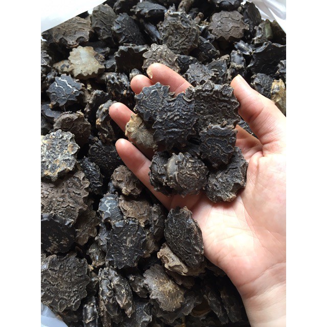 1kg Hạt Gấc Khô (Mộc miết tử) loại tốt | BigBuy360 - bigbuy360.vn