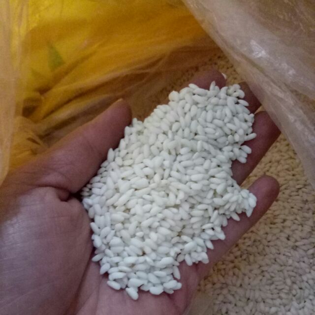 2 kg nếp cái hoa vàng 19k/kg