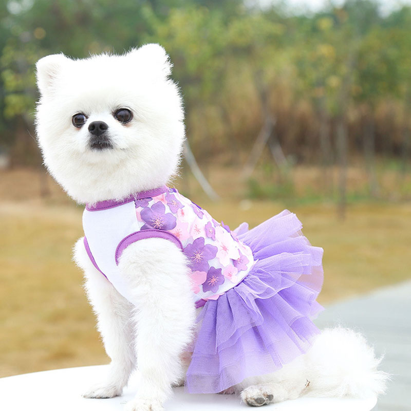 Đầm Công Chúa Xuân Hè Bằng Cotton Nguyên Chất Phối Ren Thoải Mái Hợp Thời Trang Cho Thú Cưng