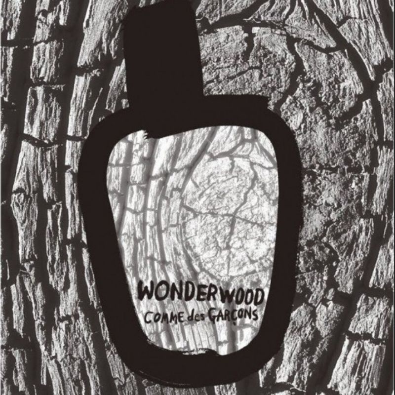 NƯỚC HOA CHÍNH HÃNG Comme des garcons Wonderwood Eau de Parfum