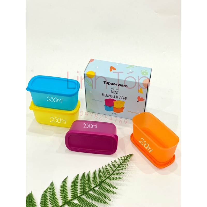 Bộ hộp trữ mát mini 250ml Tupperware (4 hộp)