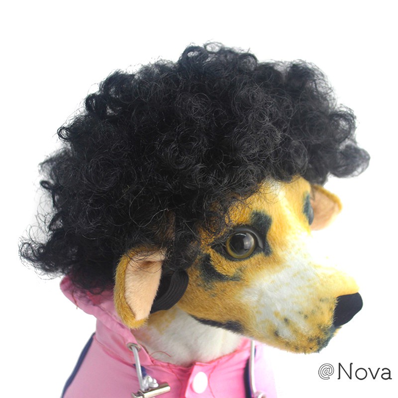 Dog Wig Pet Headdress Funny Short Wigs Syethetic Curly Hair Cosplay Costumes Grooming Fancy Dress Up Dogs Accessories