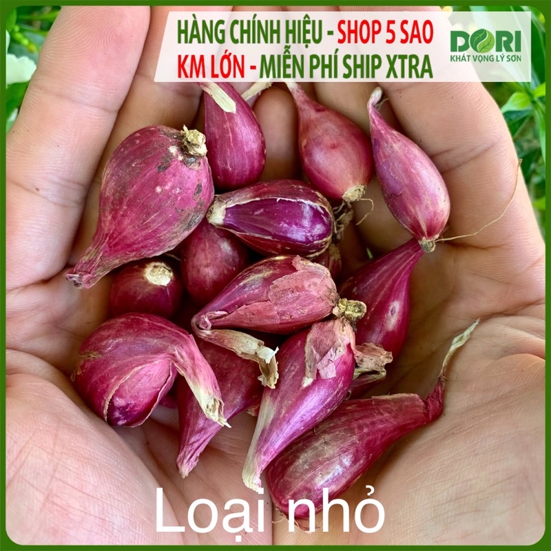 Hành tím Lý Sơn Dori - Túi lưới 1kg - Trồng tại đảo Lý Sơn - Cam kết đúng xuất xứ