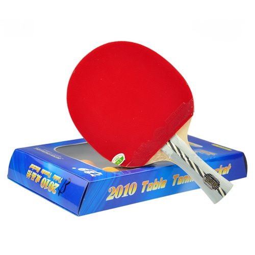 Vợt bóng bàn 729 - 2010 chính hãng
