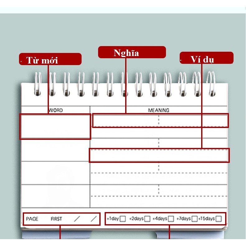 Sổ học từ vựng ngoại ngữ loại ngang