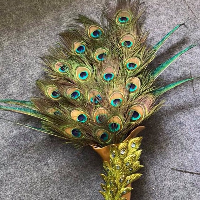 Combo 39 Lông công 95-100cm loại to đẹp | BigBuy360 - bigbuy360.vn