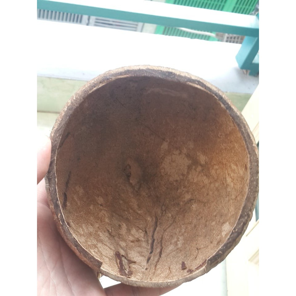 Hang trú gáo dừa dành cho thú cưng nhỏ
