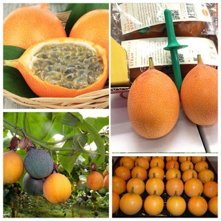 BỘ HẠT GIỐNG CHANH LEO VÀNG NGỌT