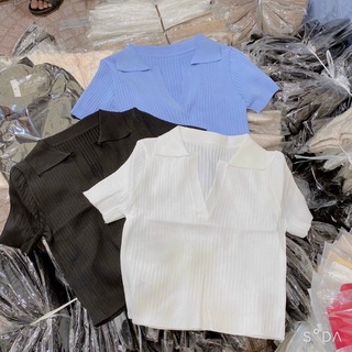 Áo Croptop Cổ Bẻ Xẻ V Trơn