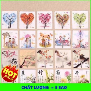 Combo  Móc 3D Dán Dính Tường