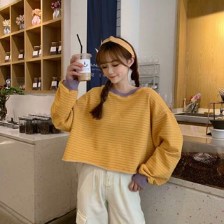 Áo kẻ cổ viền dài tay