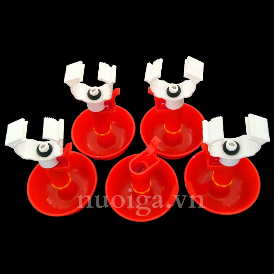 10 Núm uống Gà con